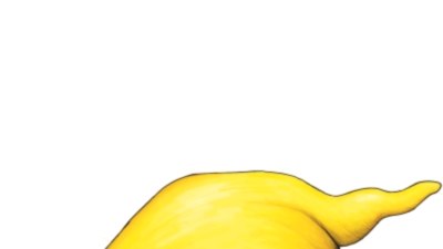 Hurra! Er ist da …